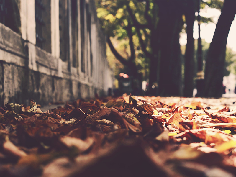 Dollarphotoclub_90298856.jpg